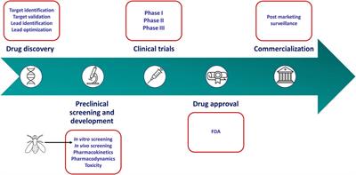 Drosophila melanogaster: A platform for anticancer drug discovery and personalized therapies